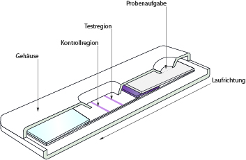 NanoRepro Testverfahren Schnelltests Lateral Flow